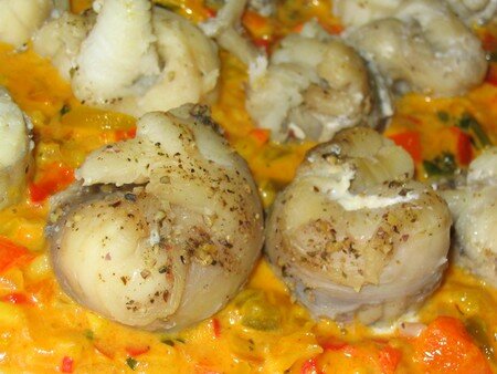 lotte_fondue_de_poivrons__4_