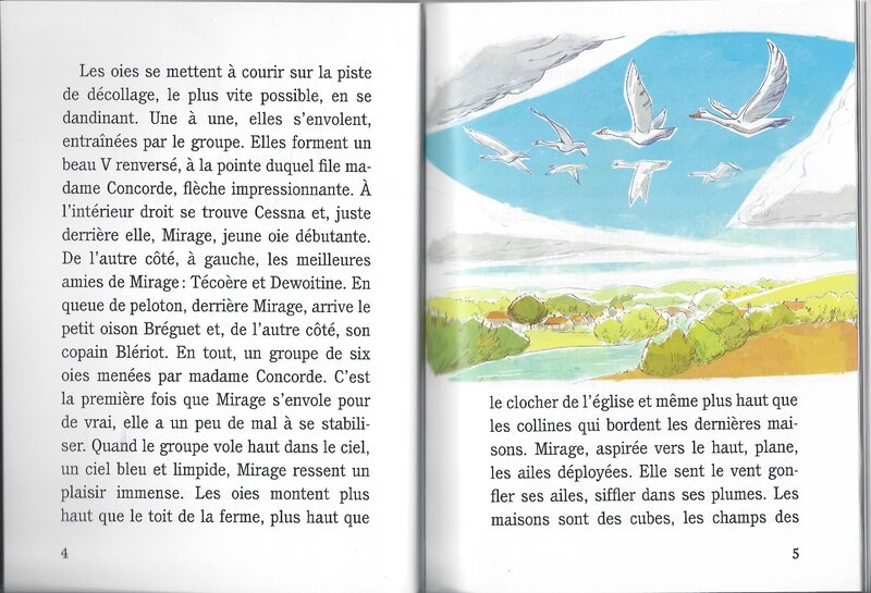 La patrouille des oies