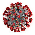 Exclusif: les médecins chinois disent que la réinfection au coronavirus de Wuhan est encore plus meurtrière