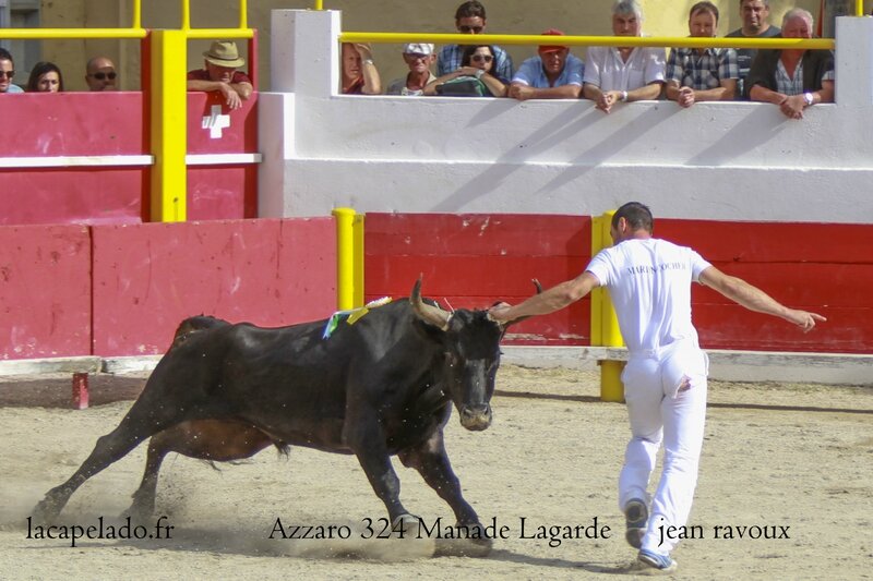 9 - photos finale des charetiers a rognonas le 21 09 201420140922006708