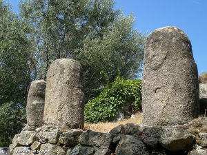 statues-menhirs Filitosa