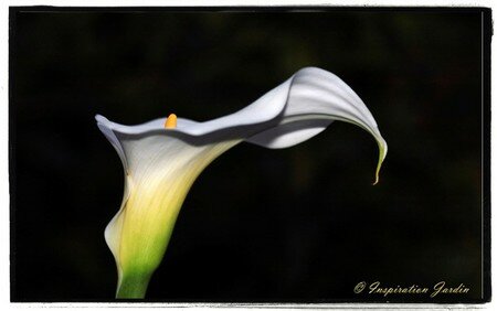 IMG_3039copie1