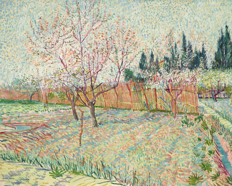 Vincent Van Gogh, Verger avec cyprès