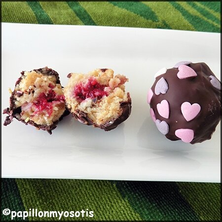 Cake Pops chocolat et fruits rouges_1