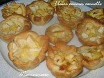 Fleurs_pommes_cannelle_006