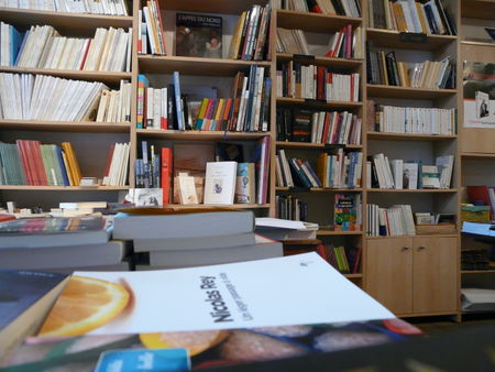 librairie_vue_par_Lark_o_2