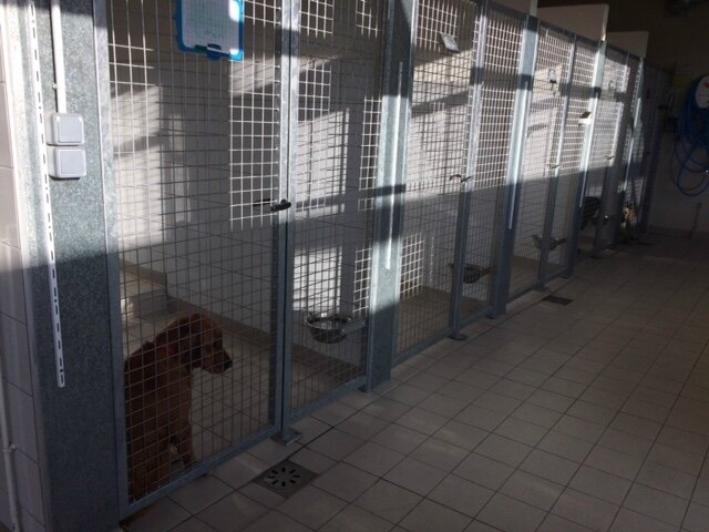 Toulouse