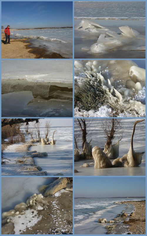 2012-02-12le lac du der gelé lumix1