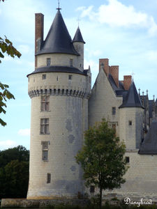 plessis_bourr_