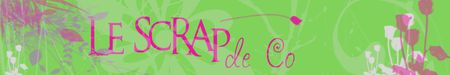 le_scrap_de_Co_copie