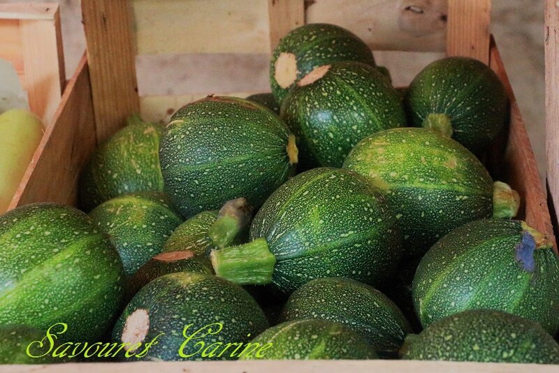 Magasin__Courgettes_rondes_