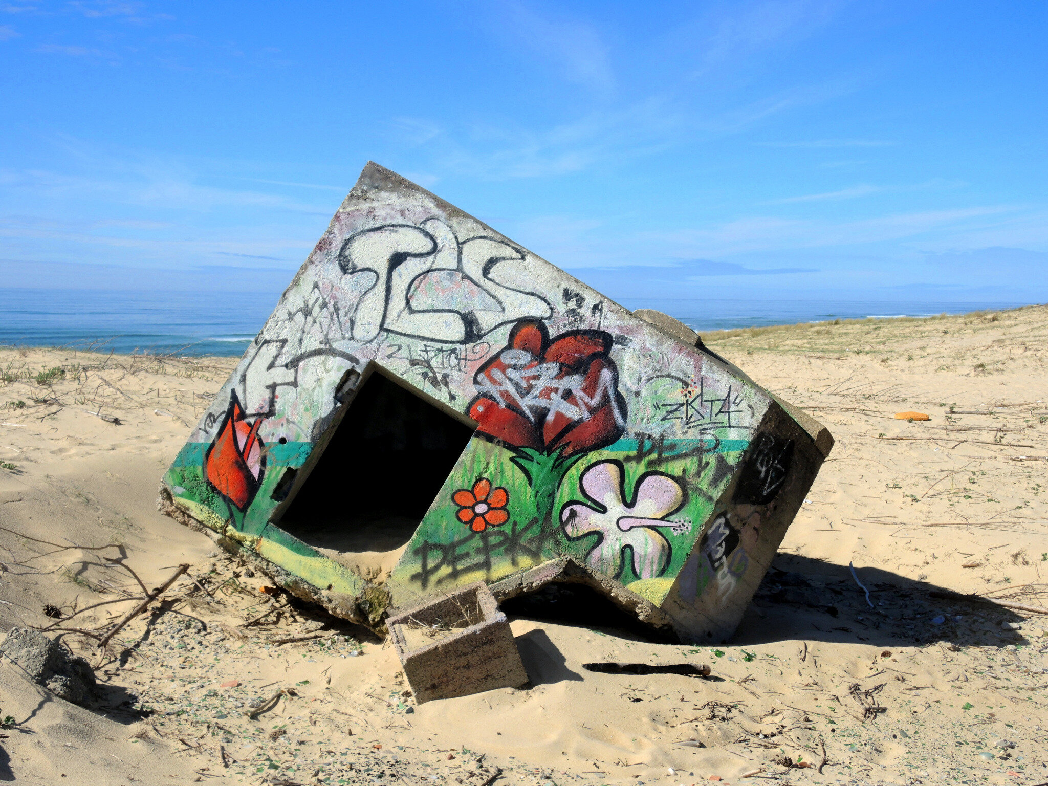 Vielle-Saint-Girons, blockhaus couleurs