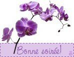 bonne_soir_e_orchid_e