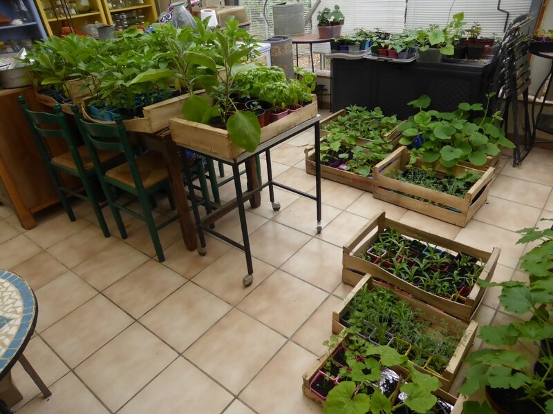 4-plants-nursery (2)