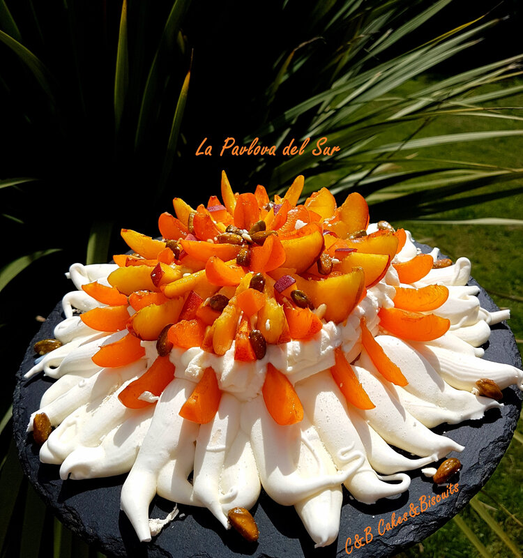 Pavlova del Sur 1