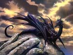 black_dragone