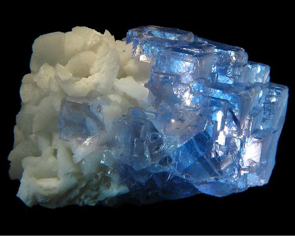 fluorine bleue