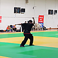 MYLENE KUNG FU Tradi - Médaille d'Or
