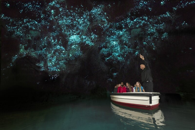 waitomo-glowworm-caves-discover-waitomo-new-zealand