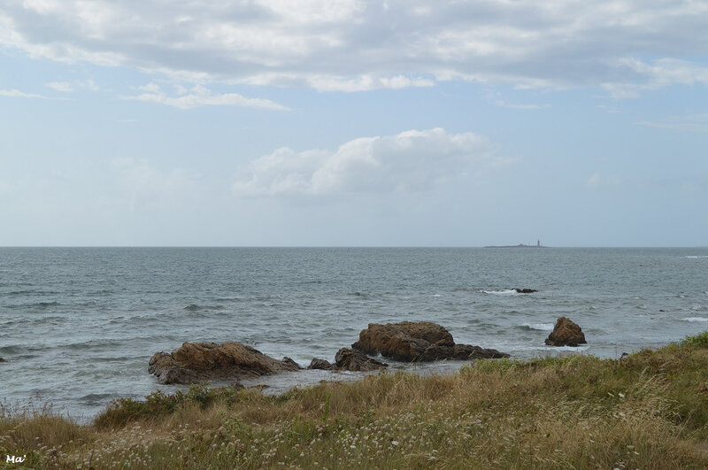 190729_noirmoutier_herbaudiere