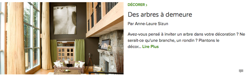 article AL Sizun pour Houzz: déco arbre