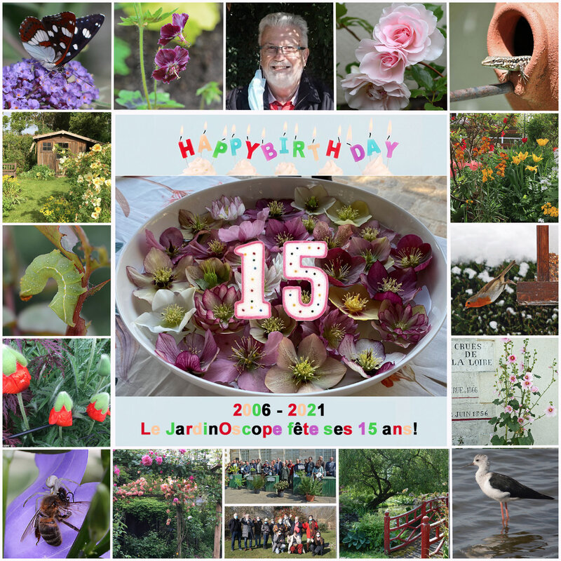 Anniversaire-15-ans-blog
