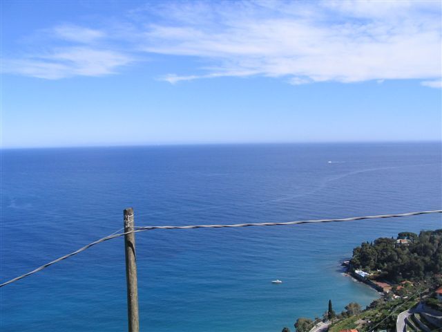 Bordighera Bergon P