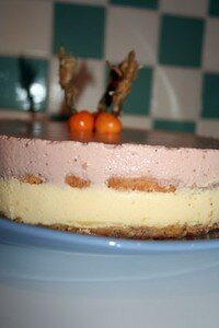 mousse_framb_passion_2