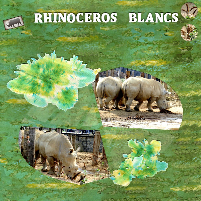 Vincennes2015-Rhino
