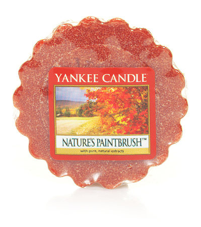 natures-paintbrush-yankee-candle-wax-tart