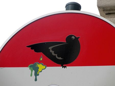 blog bru6