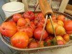 12-tomates (4)