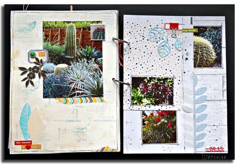 Jardin (10)