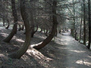 Chapelle_Saint_Bonnet__29_a