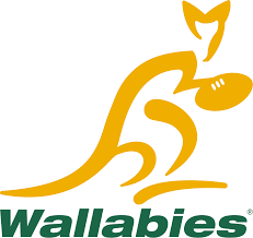 Résultat de recherche d'images pour "rugby australia"