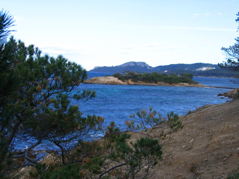 Porquerolles : la Plage d'argent