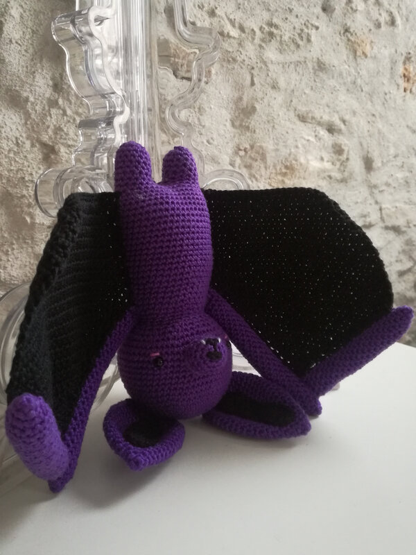 Chauve souris crochet