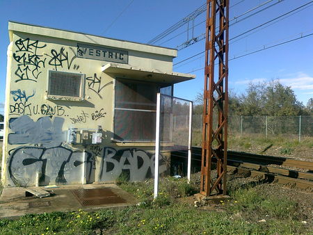 Photo0264
