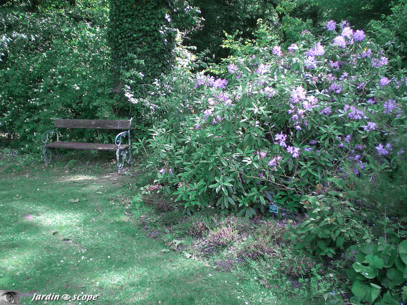 Banc à l'ombre au Grand-Courtoiseau (45)