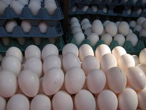 oeufs
