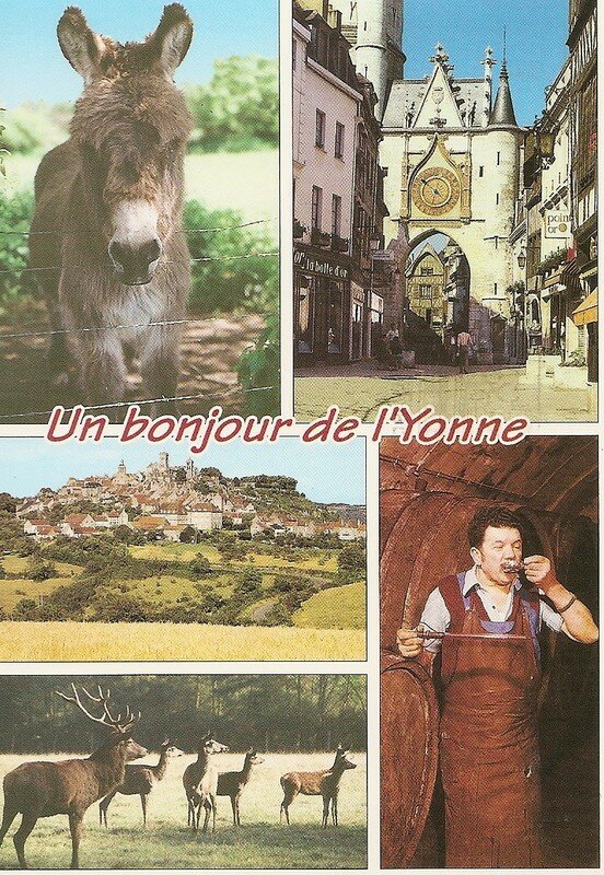Toucy par Céline et Bonnie