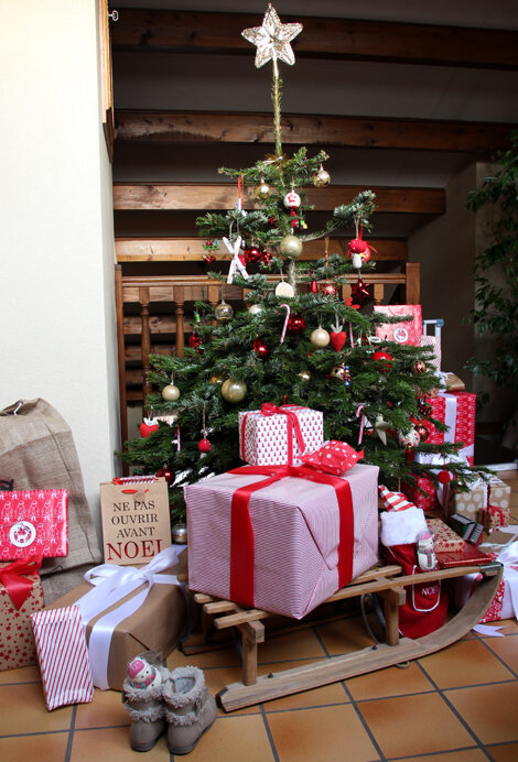 sapin_2014
