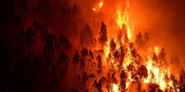 Incendie-de-foret-au-Portugal-un-Francais-decede 50 K°