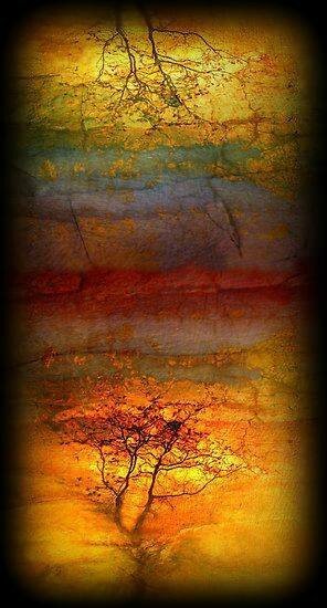 tara turner,