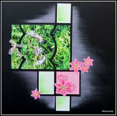 Marquenterre 2011028
