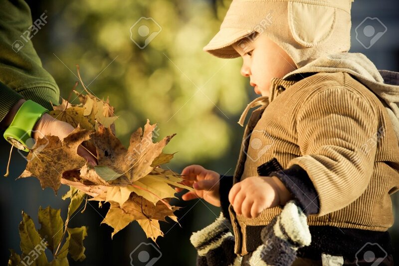 11156170-Beau-petit-gar-on-avec-les-feuilles-d-automne-en-plein-air-Banque-d'images