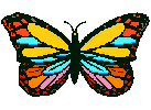 papillon_019