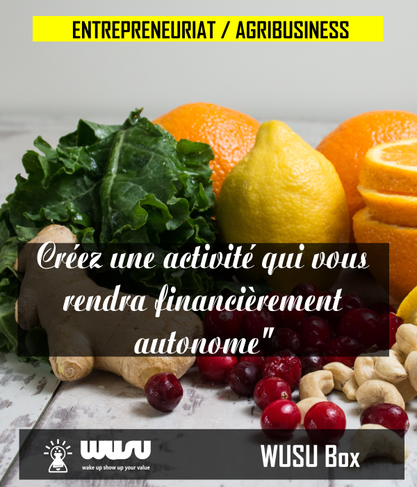 agribusiness-devenir-agripreneur-entretien-projet-cameroun-winnie-ndjock-wusu-box-2019