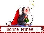 bonne_ann_e2