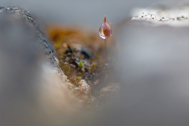 Macro pluie 070922 4 ym mur